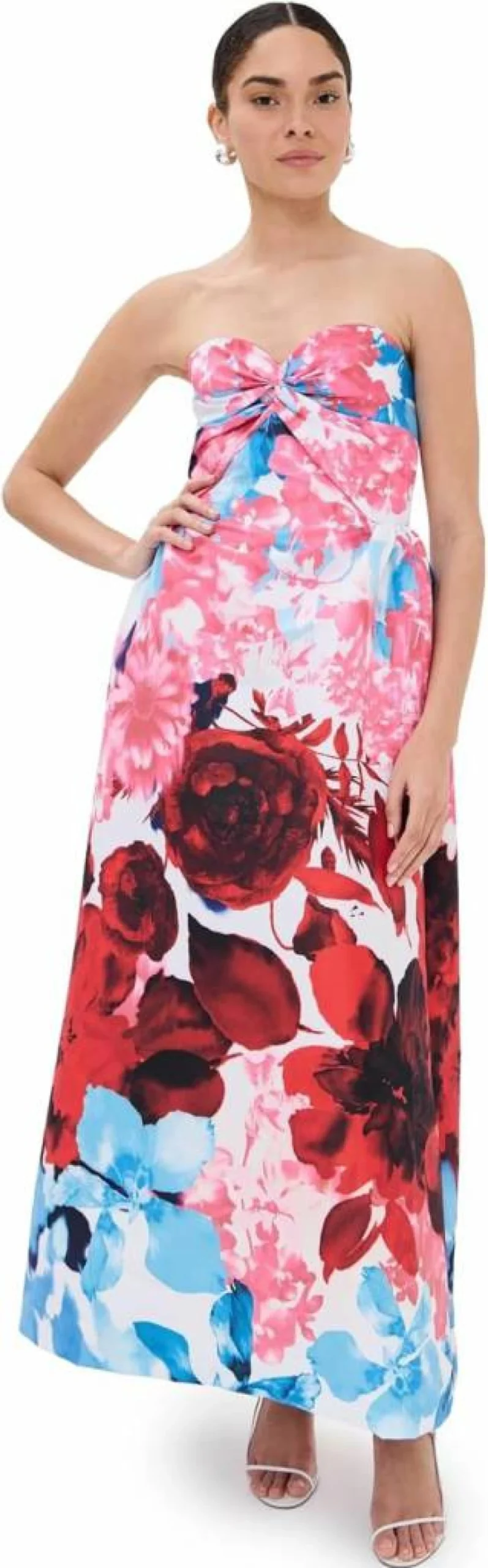 Kika Vargas Women's Red Rose Garden Floral Print Dress